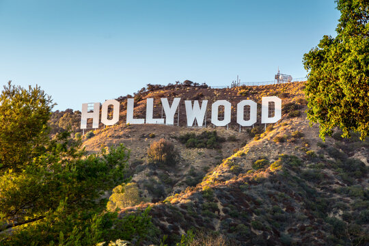 Overuse of Celebrities in Hollywood